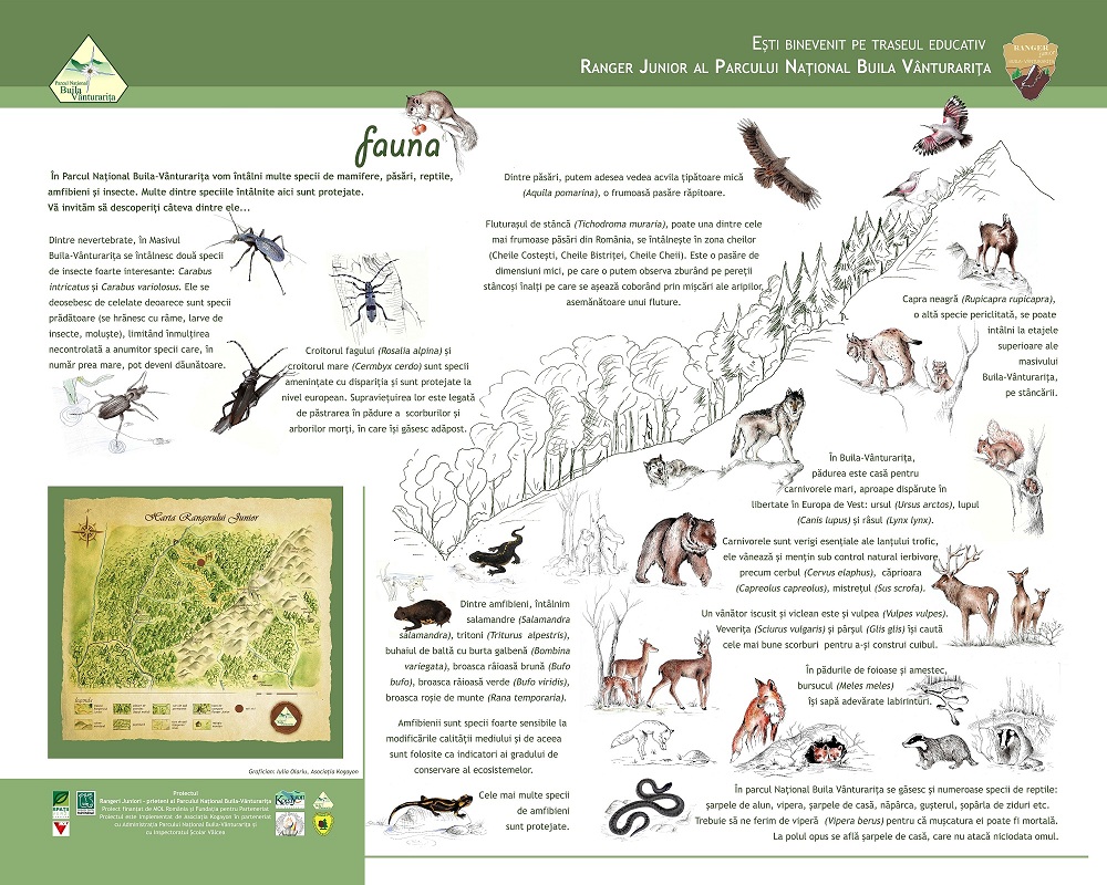 fauna.jpg