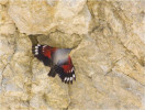 10f.jpg