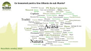 slide9.JPG