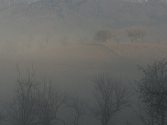 olceata.jpg