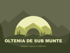 oltenia.png oltenia.png
